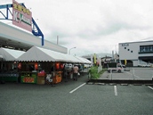 photo2